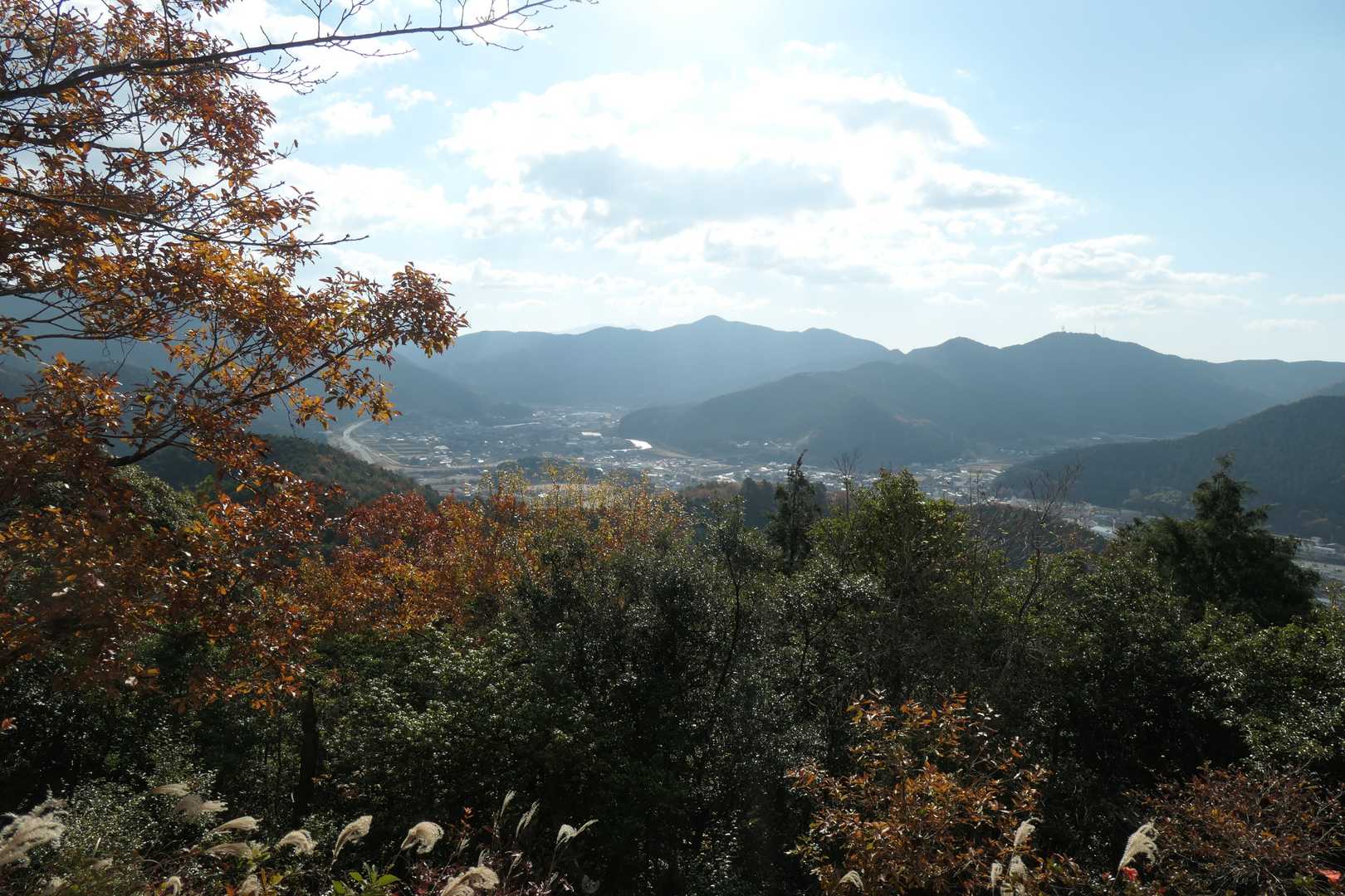 一番奥の山は高森山かな🤔