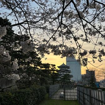 エマエマ92