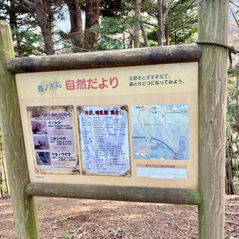 ここは宮ヶ瀬湖に遊びに来ている人向けのハイキングコースとなっています☝️