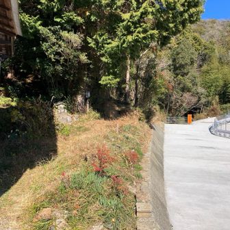 登り返しの登り口