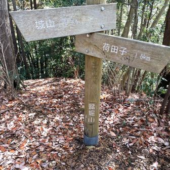 盆堀山、ここまで長かったなぁ。でも、全行程の半分も来ていない