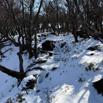 結構雪がありますね