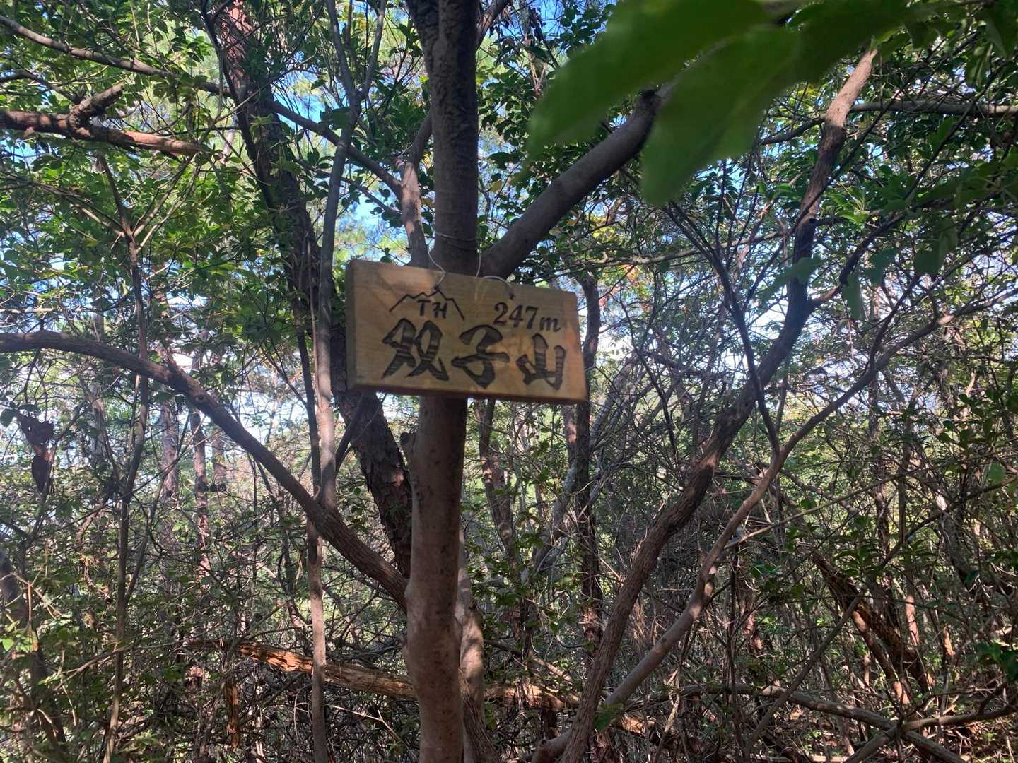 双子山到着