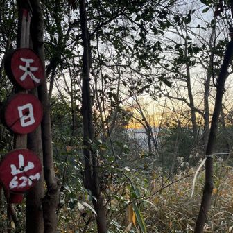 引入谷山を経て、最後のピークは天日山。
ん？この辺り的形アルプスとは雰囲気違う気がする。
ここは的形ではないのだろうか？