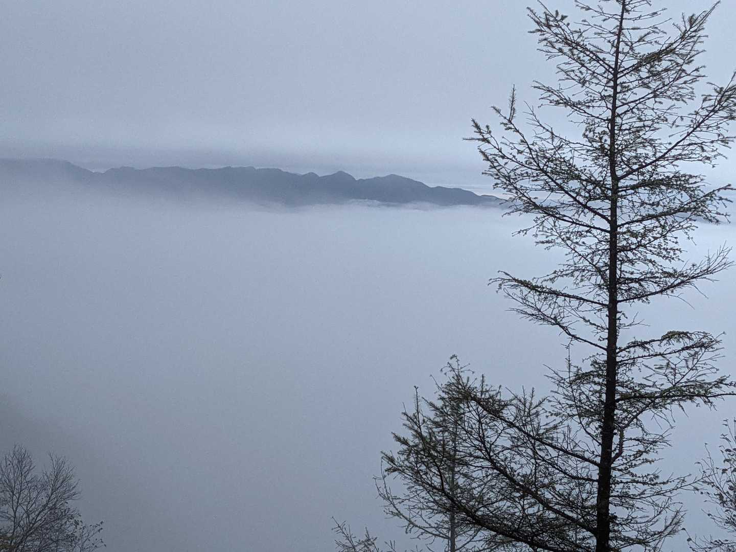 長七郎山 往復コースの写真