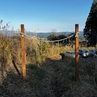 ふぅぅ帰ってきたー！
おじゃましました🙏

て、この写真を撮った直後に脚がもつれて
また尻もち🤣かっこわる