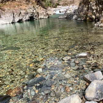 フツーのきれいな川の色になった　ブルーでない