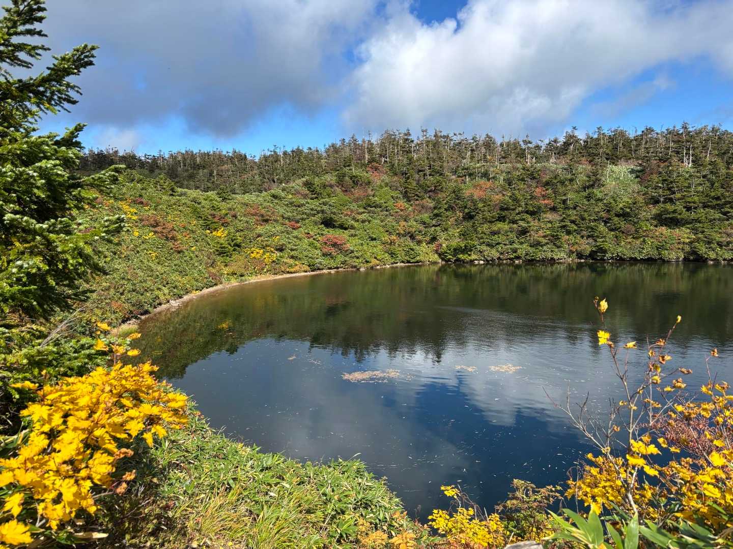八幡平登山口-八幡平-源太森-茶臼岳-見返峠 周回コースの写真