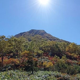 長助池から妙高山方面です