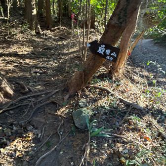 行きはわからなかった