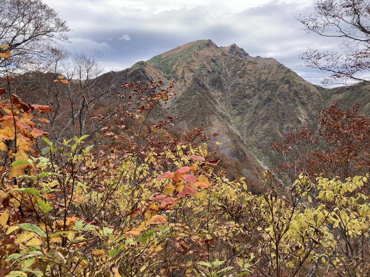 天神峠-熊穴沢ノ頭-登山入口-天神平駅 縦走コースの写真