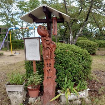 垣生山山頂