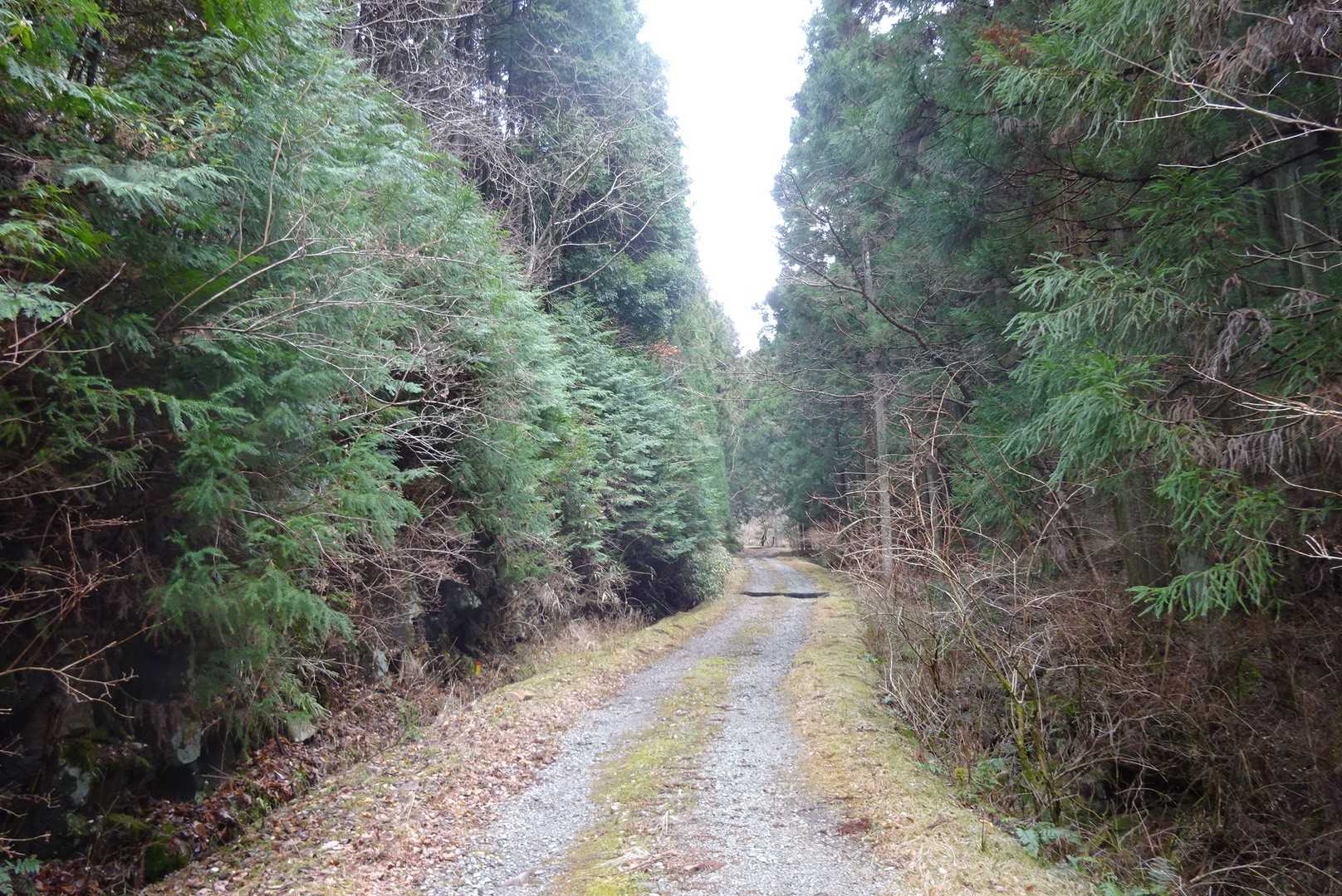 ドロドロになって下りて来ました
伊勢本街道を、のんびり歩きます