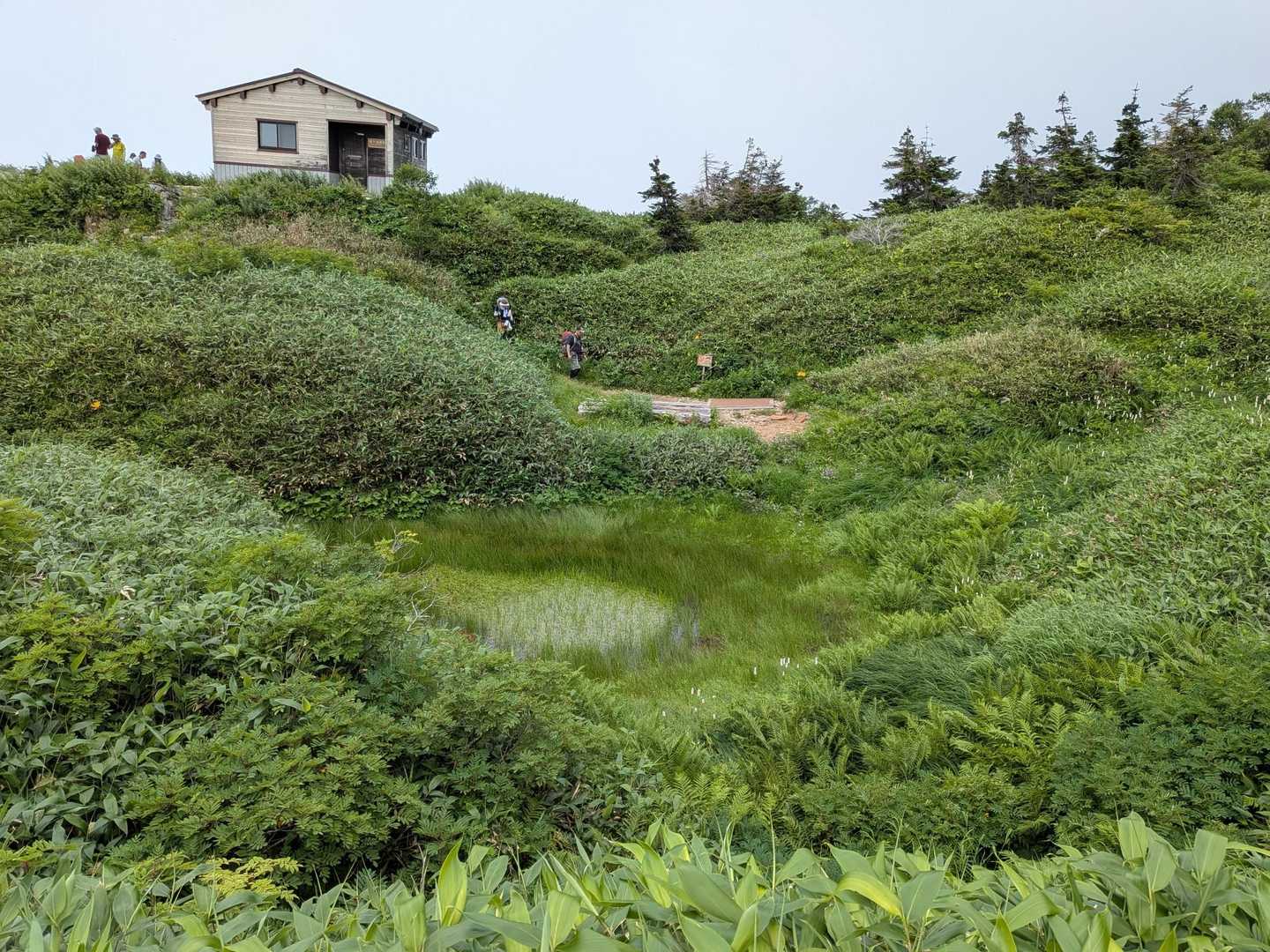 殿ケ池避難小屋と池