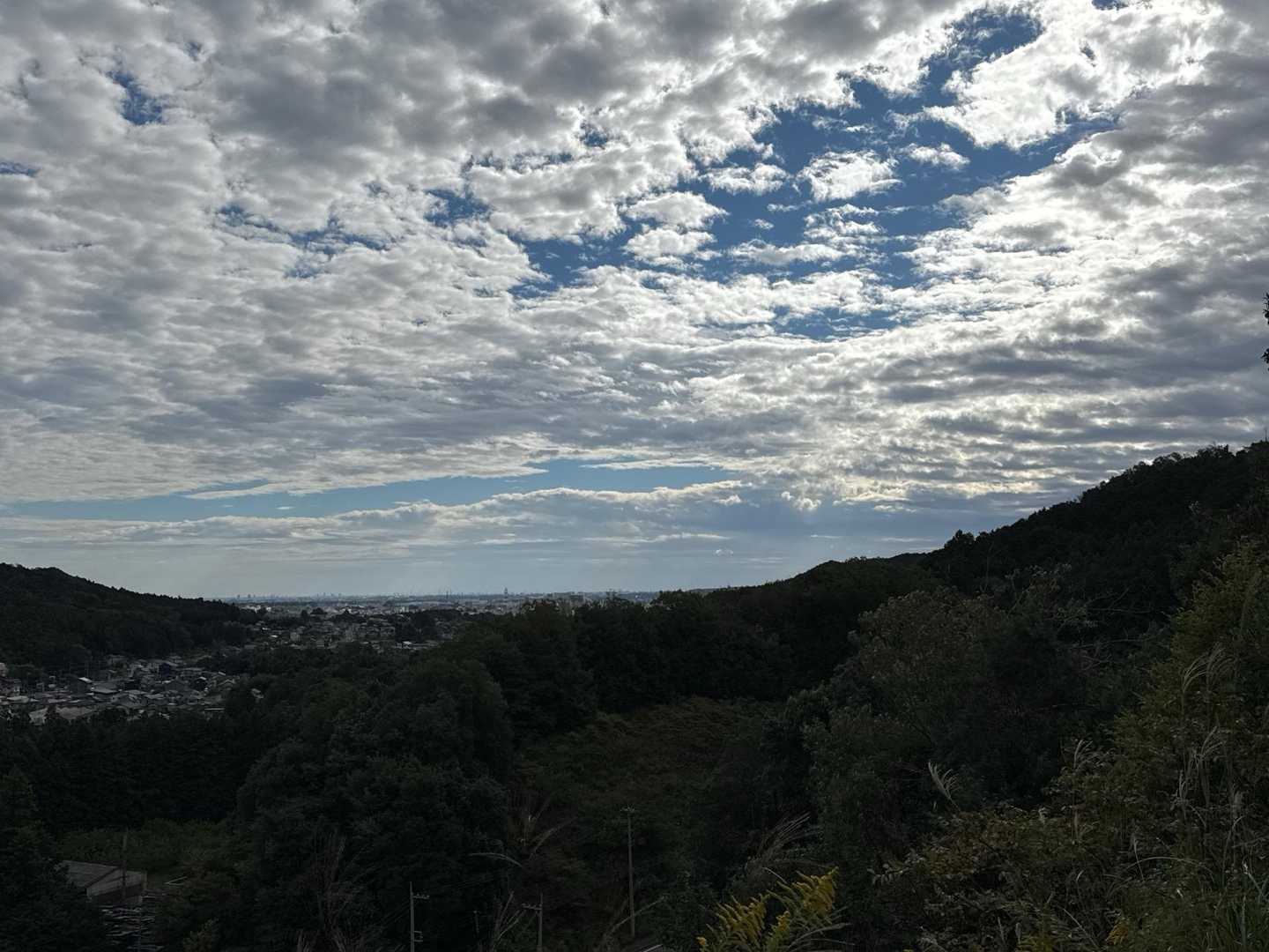 茜台自然広場登山口-ジャンダルム 往復コースの写真