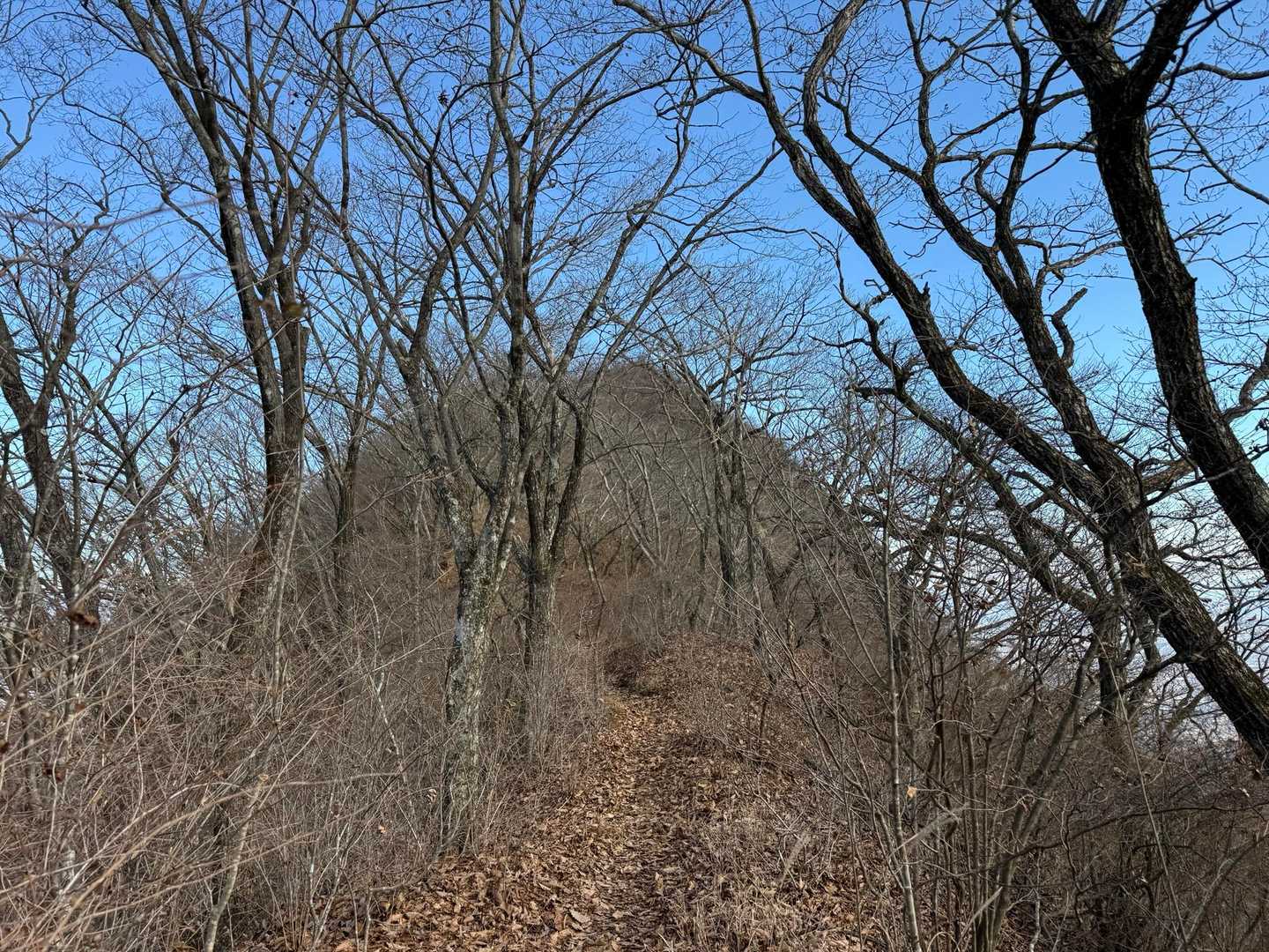 水沢山を登り返します。