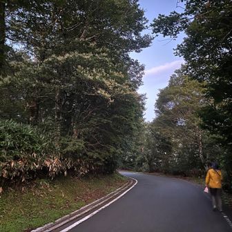 車道を歩いて伊吹山へ