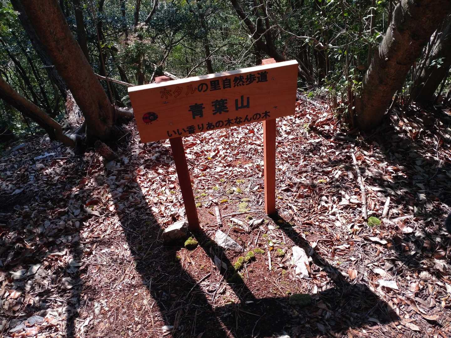 鳥川アルプス 周回コースの写真