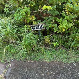 御前山に到着、ここから林道ですが少し歩くとキャリア圏外になります。