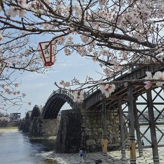 下山しました。