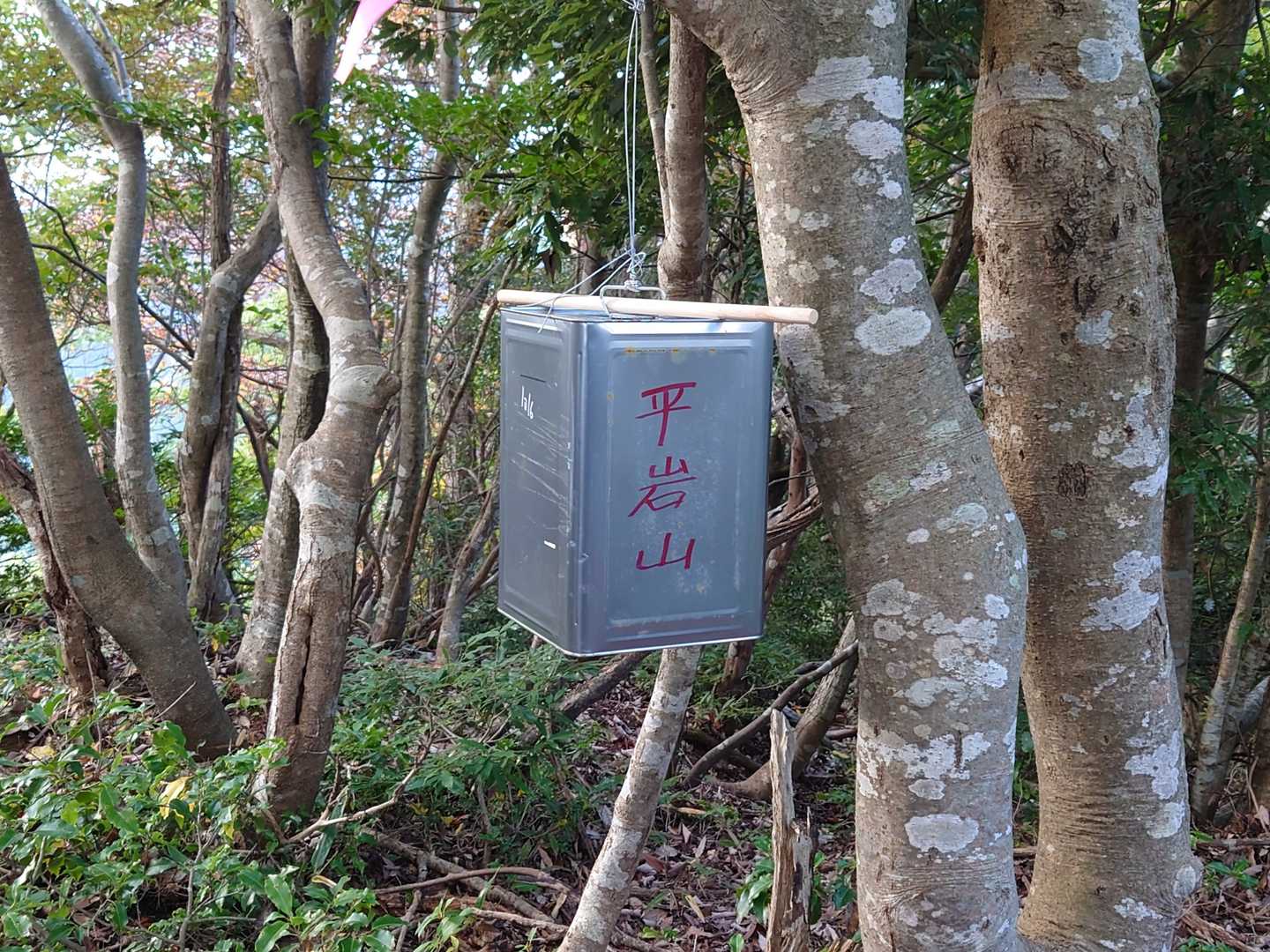 平岩山山頂です🤗