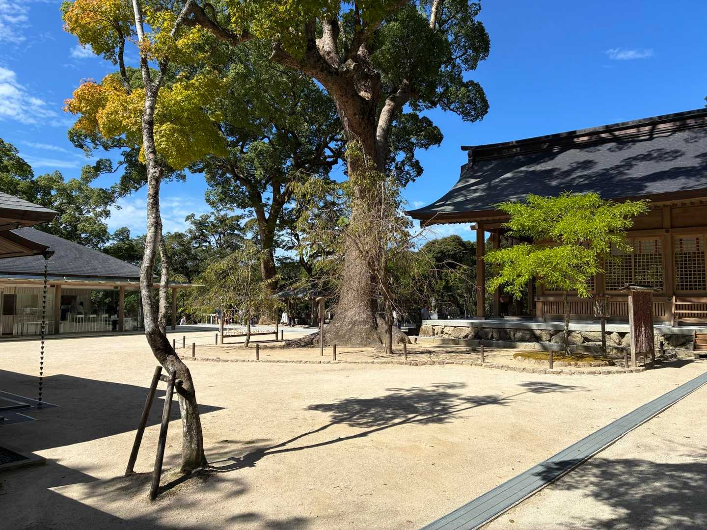 こっちからの境内も良いです🙆