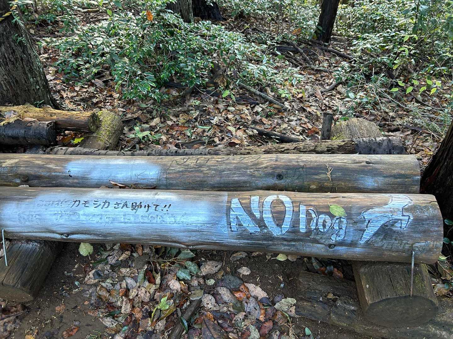 茜台自然広場登山口-柏木山-赤根峠 往復コースの写真