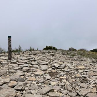 湯の丸山　山頂広い