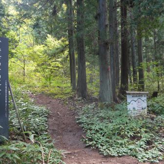 登山口
