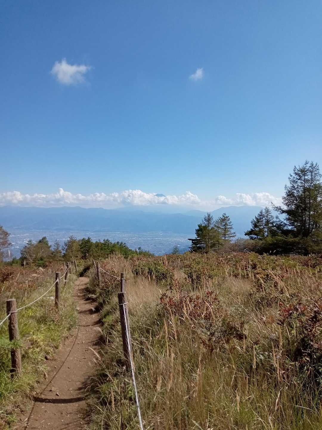 甘利山登山口-甘利山-大西峰 往復コースの写真