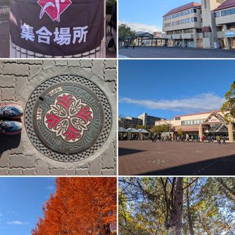 日生中央駅。

マンホール。

メタセコイヤ並木🍁。紅葉、銀杏、その他はもう終盤で、曇り空で映えない。

大石山山頂。というか三角点みたい。