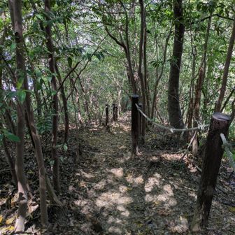 落葉は少し積もってました🍂
湿度低く、日も当たらず陰でしたのでハキハキ🧹捗ります😙