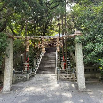 集合場所の瓢箪山までは自走ジョグ。枚岡神社の境内はちょっと空気が違う気がする。