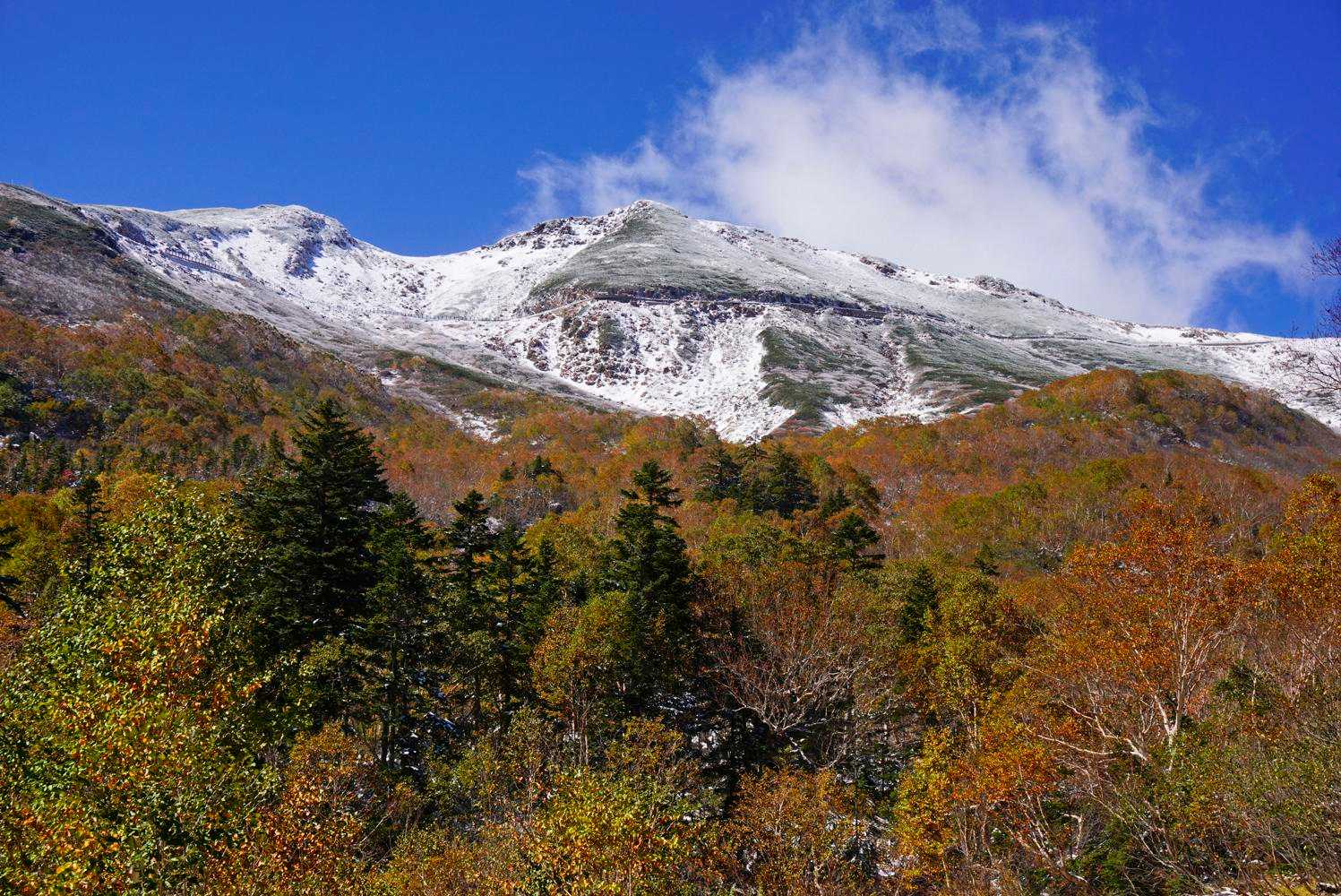 位ヶ原山荘付近から三段紅葉✨