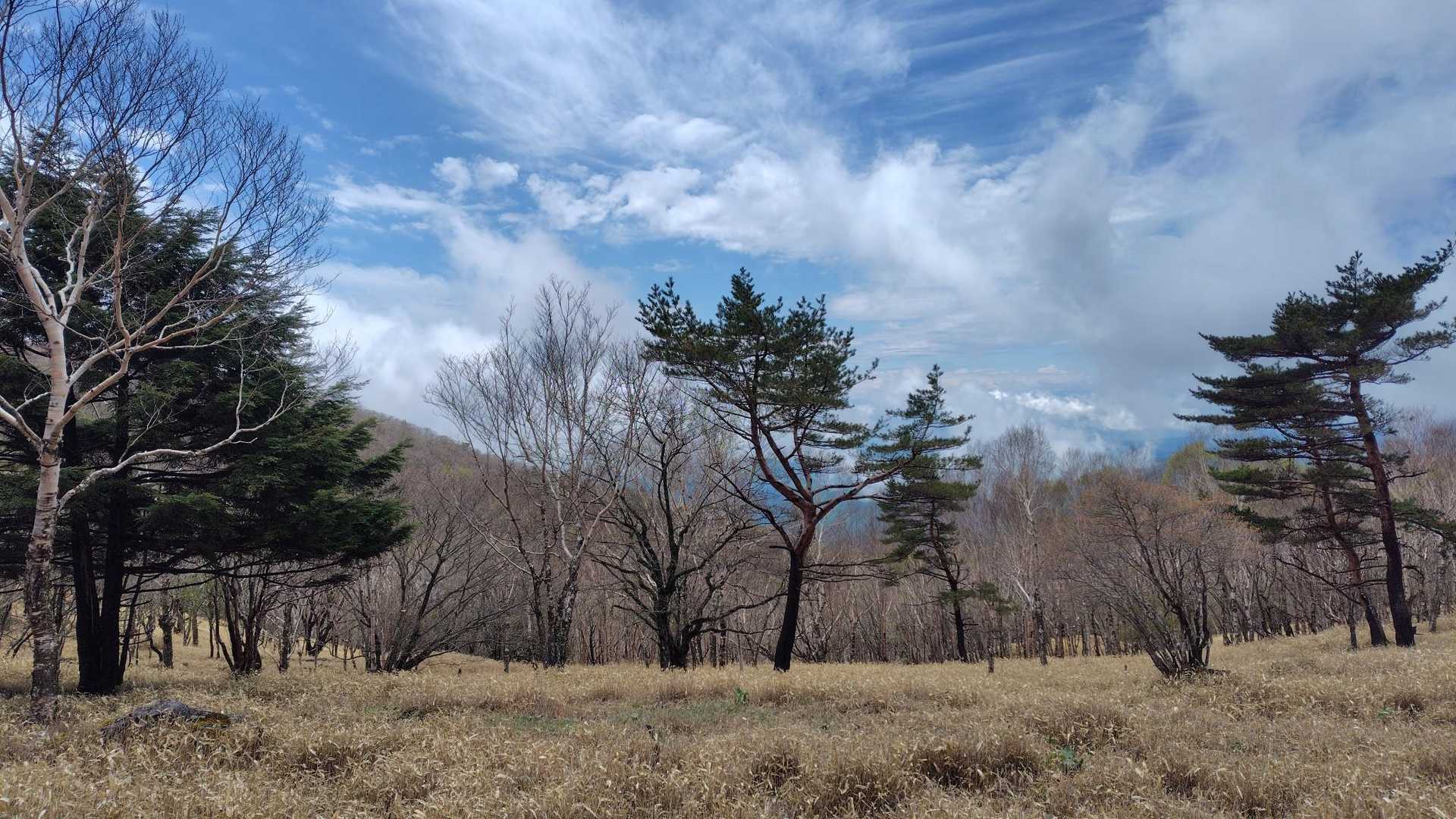 開けた所
良き風景