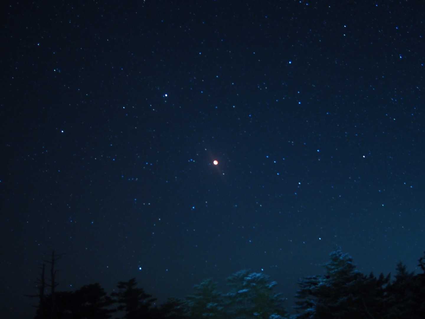 レンズを替えて広角の単焦点で📸
満天の星空✨
