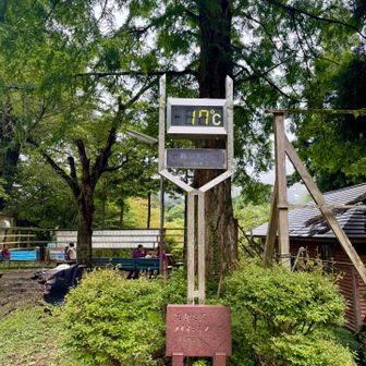 山頂は寒かったけど、すでに汗だくなのでちょうどよかったです😂