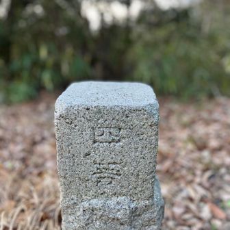 点名: 池の上
標高: 68.5 m
種別: 四等三角点