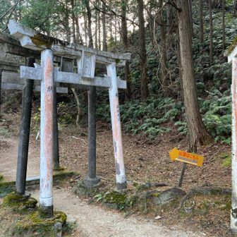 まだ⛩️ありますね。山頂はあちら👉