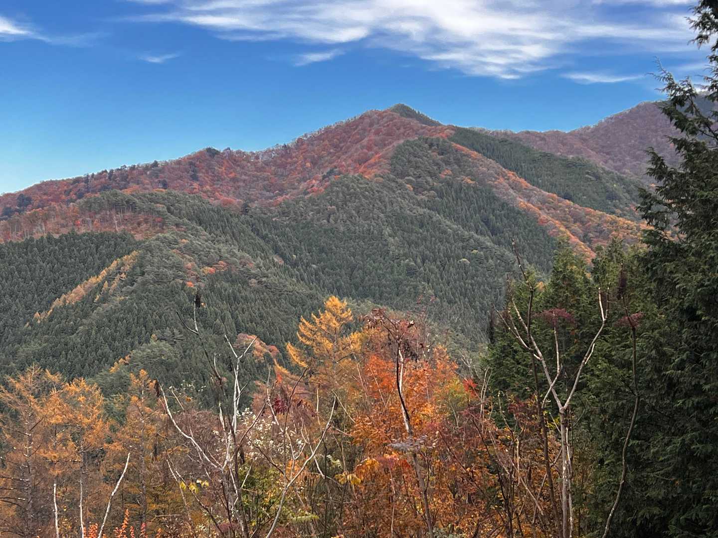 三頭山方面、山腹が紅葉