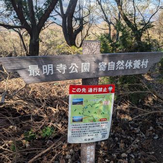 この道標がどうも松田山の山頂らしい。