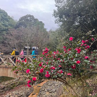 水分峡から🥾✨