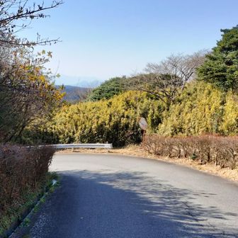 終始舗装路歩きでした😆