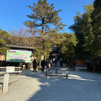 大文字山を下り、銀閣寺前へ出ました。比叡山登山口へ向かいます⛰️ 比叡山下りはロープウェイ乗るにしろ大丈夫かなと、大文字火床で比叡山の事を聞いたら。。。今から？遅すぎるよ！との声💦