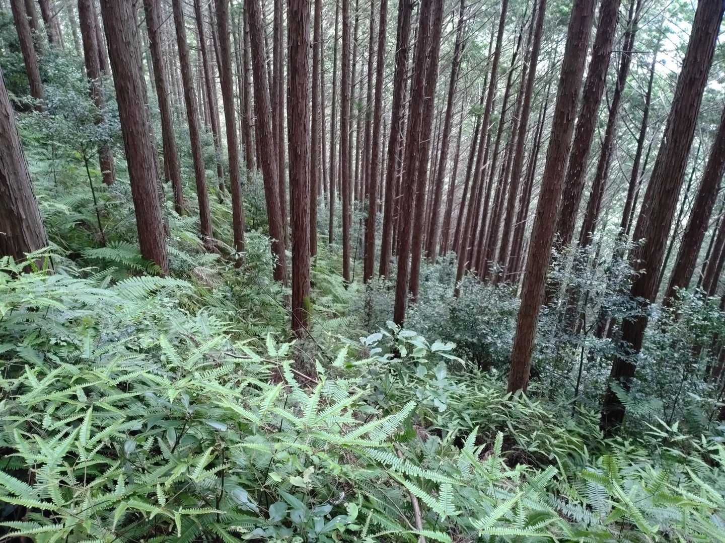 綺麗だな〜😊
