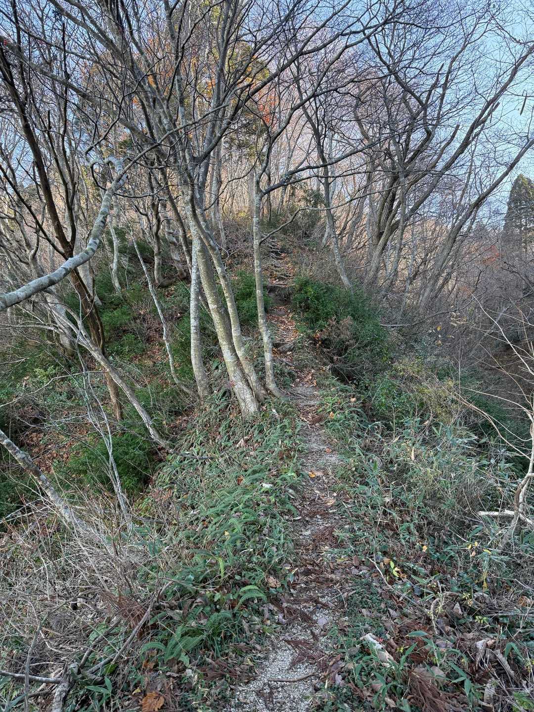 まあ前回は5月だったので木々が生い茂っていて景色が違ったのかも知れませんけど😓