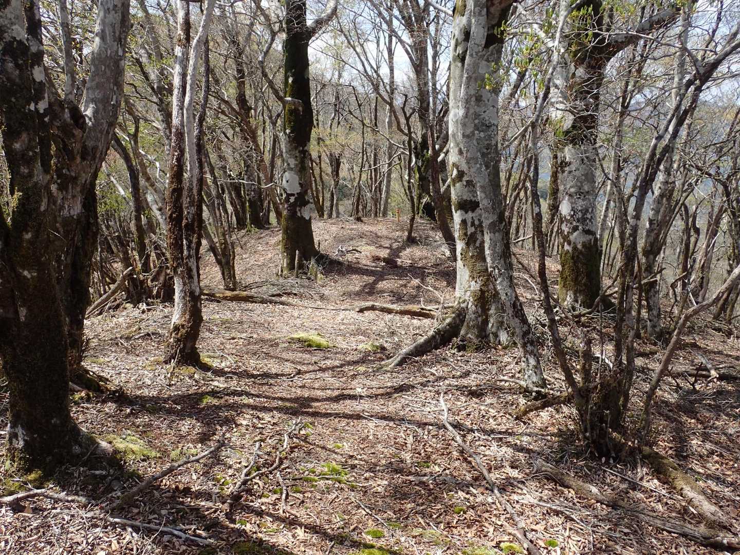 そろそろ戻ります🚶