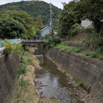 森戸川、後方は阿部倉山。