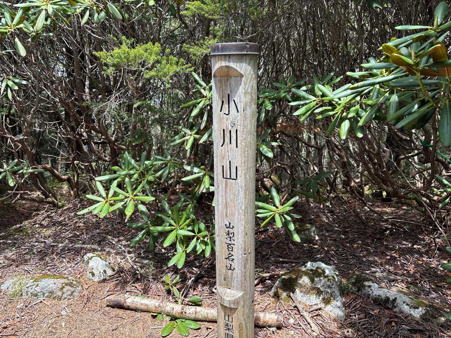 八丁平-小川山 往復コースの写真