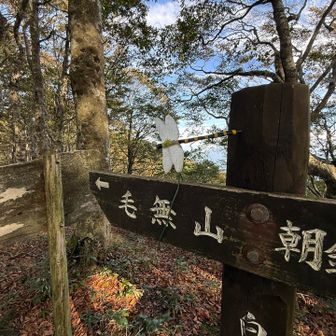 オニヤンマくんがいました　笑笑
